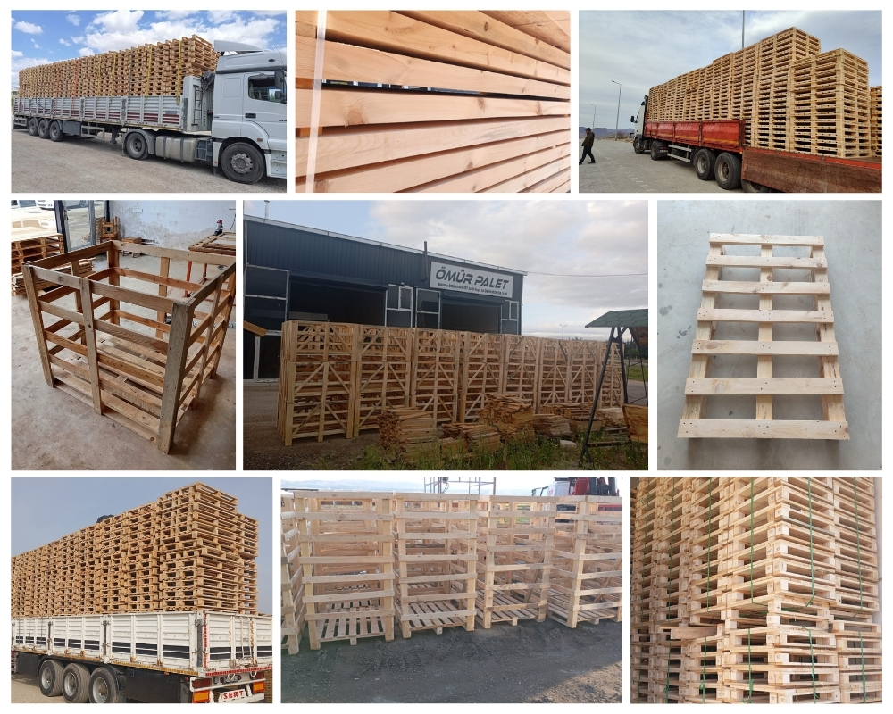 Ventnor Wooden Pallets, Buy Wooden Pallets Wholesale